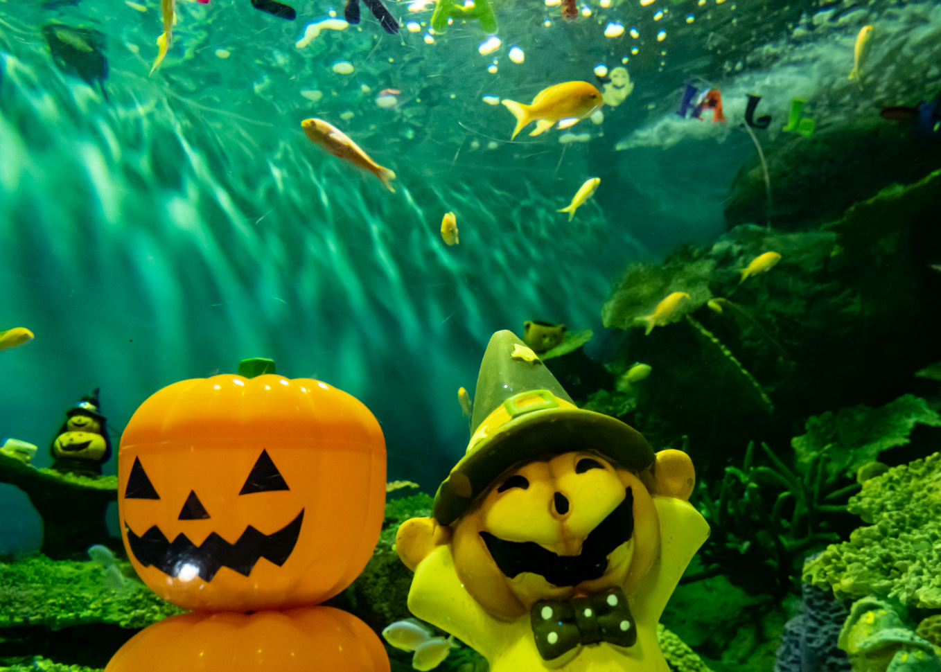 SHINAGAWA AQUARIUM